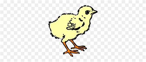 chick in color clip art chick hatching clipart flyclipart