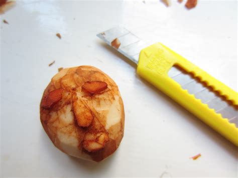 See more ideas about avocado seed, avocado, carving. Crafts for the Skint: Avocado Seed Jewellery