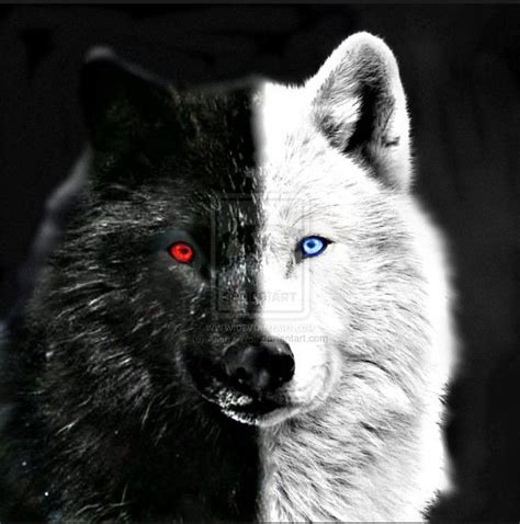 Manusia Serigala Putih