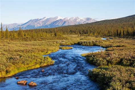 Premium Photo River On Alaska