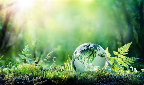 Environmental Sustainability Stock Photos Pictures And Royalty Free