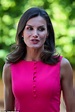 Queen Letizia of Spain stuns in pink dress as she presents awards in ...