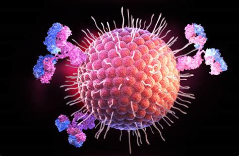 Varicella Zoster Virus Illustrations Stock Photos Pictures And Royalty