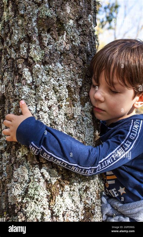 Little Boy Hugs Tree Trunk Children Love Nature Concept Stock Photo