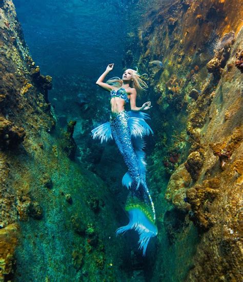 Pin By Cindy Coleman On Pictures Of Our Beautiful World Real Life Mermaids Real Mermaids
