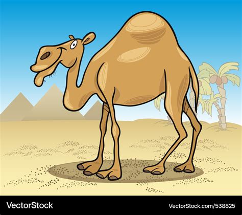Cartoon Illustration Of Dromedary Camel On Desert Vector Image