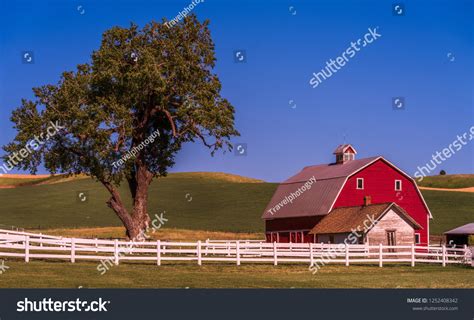Farm Red Barn Lone Tree Surrounded Stock Photo 1252408342 Shutterstock