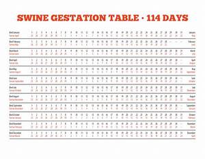 Swine Gestation Table Pdf