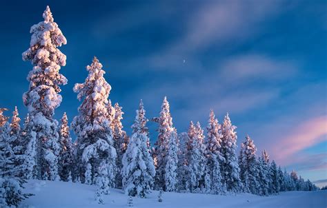 Wallpaper Winter Road Forest The Sky Snow Trees Ate Finland