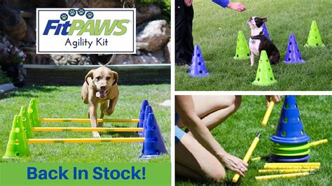 Fitpaws Canine Fitness And Rehabilitation For Dogs