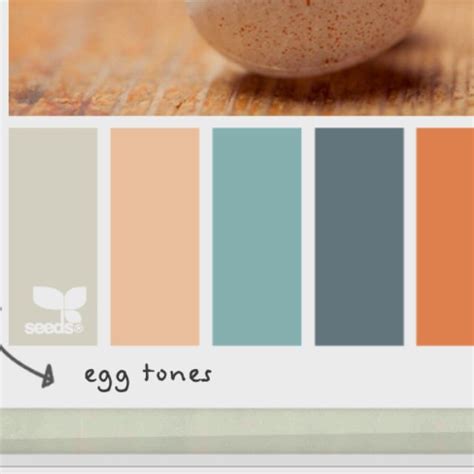 Eggshell Paint Color Chart
