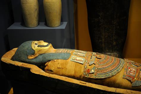 Museums Mummies Multiplying The Washington Post