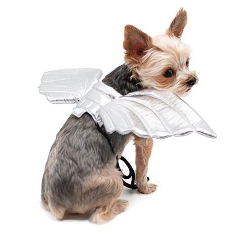 Angel Wings Dog Costume By Dogo Baxterboo