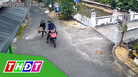 2 Thanh Niên đi Trộm Chó Giữa Ban Ngày Gây Bức Xúc Tại Sa Đéc Thdt