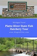 Platte River State Fish Hatchery | Fish hatchery, Michigan travel ...
