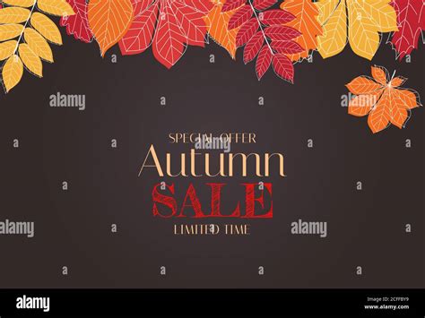 Autumn Background Template With Leaves Special Offer Limited Time