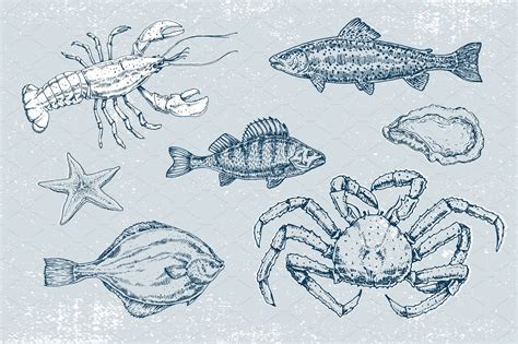 Hand Drawn Illustration Of Sea Life How To Draw Hands Drawing