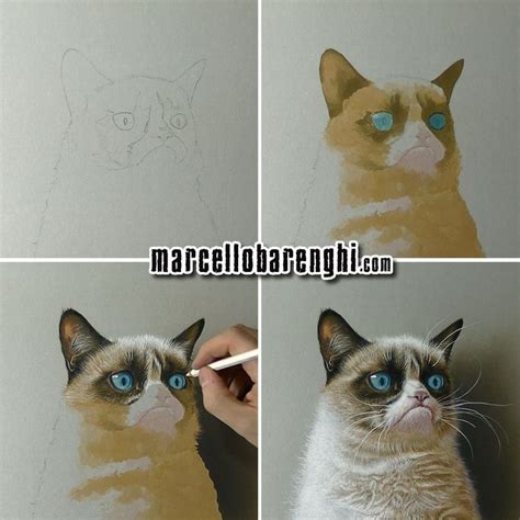 Grumpy Cat Meme Drawing Step By Step By Marcello Barenghi Grumpy Cat