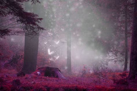 Dreamy Fairytale Forest Scene With Magic Fireflies Foggy Surreal