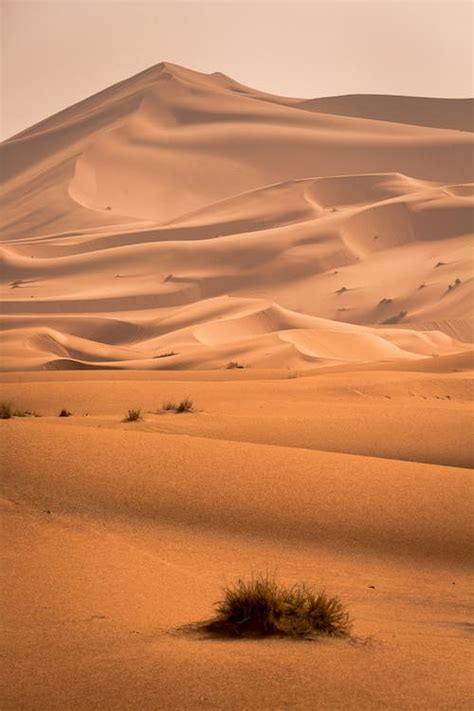 Desert · Free Stock Photo
