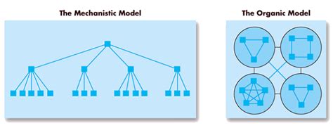 How To Build An Organizational Chart To Help Your Startup Succeed