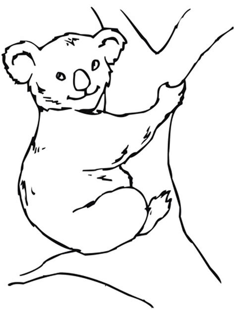 Coloriages Koala Gratuits à Imprimer Pour Les Enfants