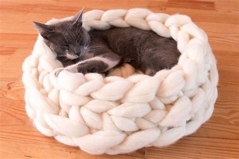 Diy Chunky Knitted Cat Bed A Great T For Your Furry Friend