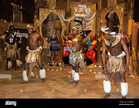 Zulu Troupe Perform In Traditional Dress At The Shakaland Zulu Cultural Village Eshowe Kwazulu
