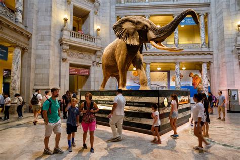 Best Museums In Washington Dc With Exhibits Worth Visiting Thrillist