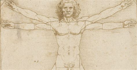 La Scoperta Di Un Disegno Di Leonardo Da Vinci My Xxx Hot Girl