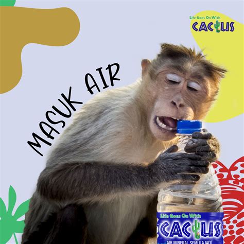 Definisi/arti kata 'tempurung' di kamus besar bahasa indonesia (kbbi) adalah n 1 kulit buah yang keras (seperti kulit buah kelapa dan sebagainya); Cactus Malaysia - Sape macam ni, kita geng. Jangan ...