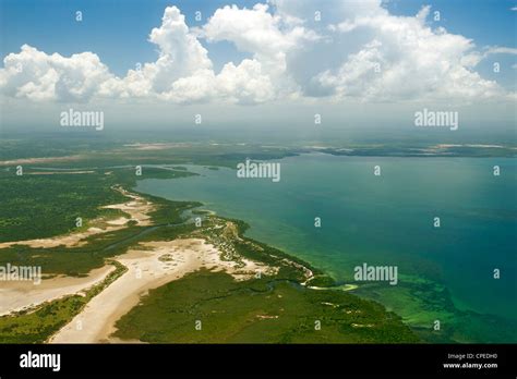 Mangroves Along The Coast Of The Quirimbas National Park In Mozambique