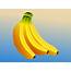 Bananas Vector Art & Graphics  Freevectorcom
