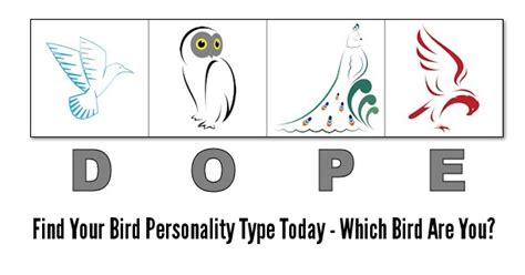 Dope Bird 4 Personality Types Test Printable And Online Version