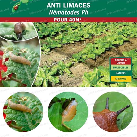 Nematode Antilimace 40m2 Traitement Bio Anti Limaces Et Escargots Bio