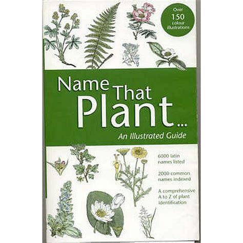 Name That Plant An Illustrated Guide To Plant And Botanical Latin