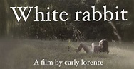 white rabbit- short film. | Indiegogo