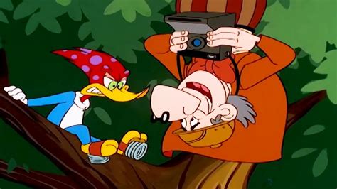 Woody Woodpecker Show Woody Watcher 1 Hour Compilation Youtube