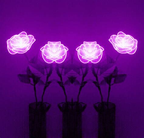 See more ideas about purple aesthetic, purple, all things purple. roses neon purple flowers neonsign...
