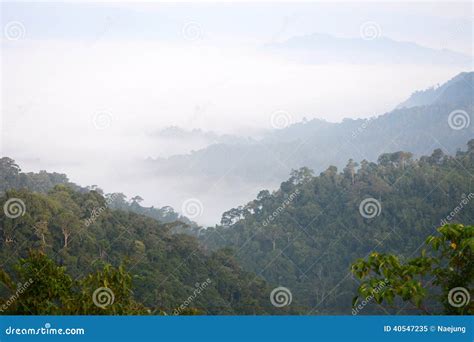 Morning Mountain Mist Stock Image Image Of Holiday Blue 40547235