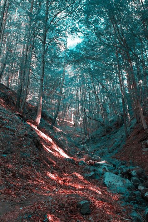 This also makes colours look less. How People With Tritanopia Color Blindness See The World