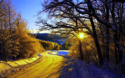 Winter Morning Snow Trees Road Sunrise Wallpaper Nature And