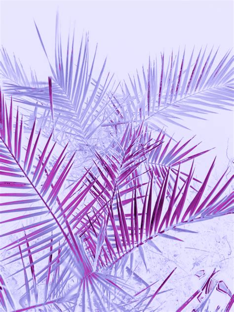 Free Download Lunapic Editimg 0490 Texturedetail Pink Wallpaper Iphone