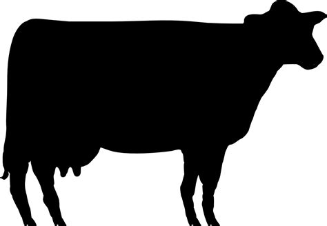 Shorthorn Angus cattle Beef cattle Hereford cattle Jersey cattle - others png download - 1290 ...