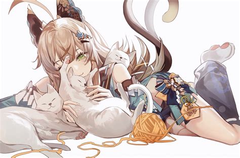 Wallpaper Anime Girls Cats Cat Girl Kirara Genshin Impact Genshin Impact 1815x1200