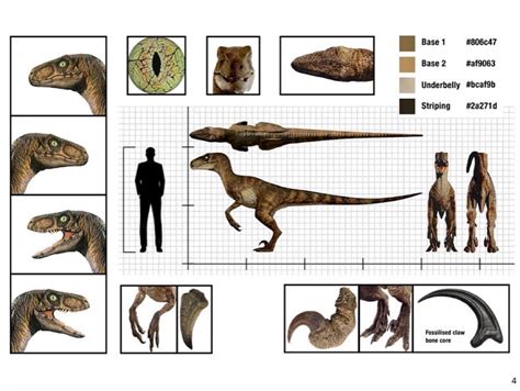 Jurassic Park Velociraptor Jurassic Park Know Your Meme