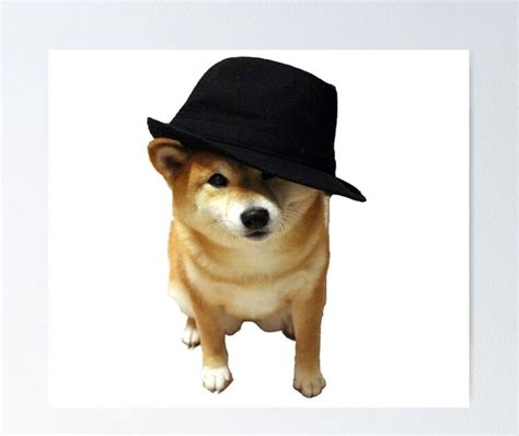 Doge With Hat