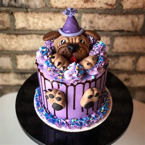 Pin By Helen Williams On Drip Cakes Dog Birthday Cake Puppy Birthday