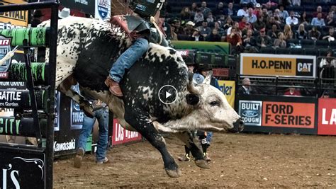 The ‘controlled Rage Of Bull Riding The New York Times