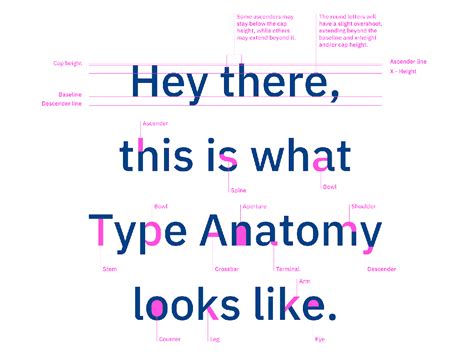 Typography 101 The Basics And Some Of Our Favorite Fonts